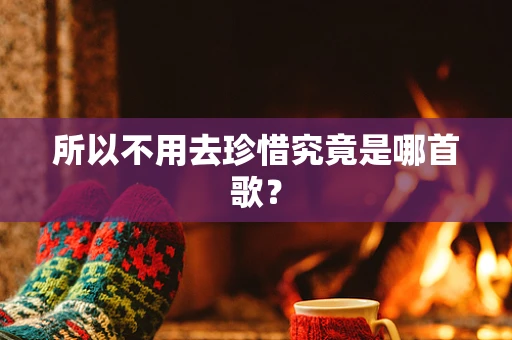 所以不用去珍惜究竟是哪首歌？