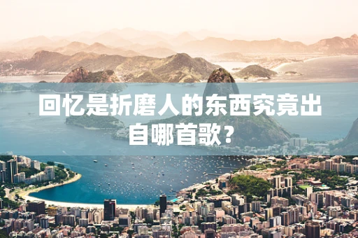 回忆是折磨人的东西究竟出自哪首歌？