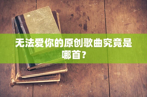 无法爱你的原创歌曲究竟是哪首？