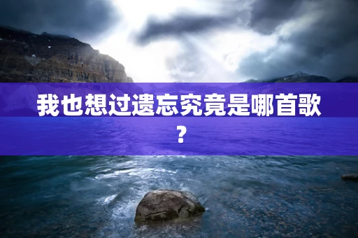 我也想过遗忘究竟是哪首歌？