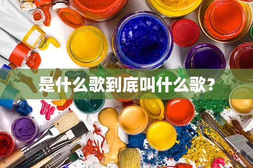 是什么歌到底叫什么歌？