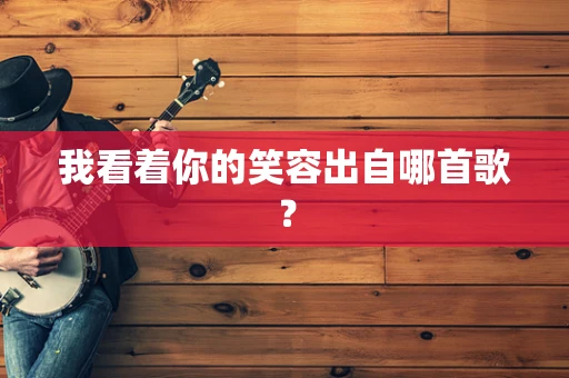 我看着你的笑容出自哪首歌？