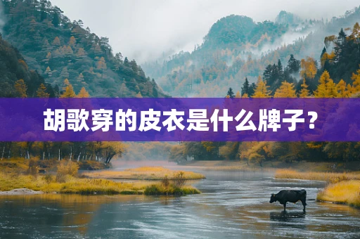 胡歌穿的皮衣是什么牌子？