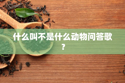 什么叫不是什么动物问答歌？
