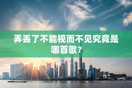 弄丢了不能视而不见究竟是哪首歌？
