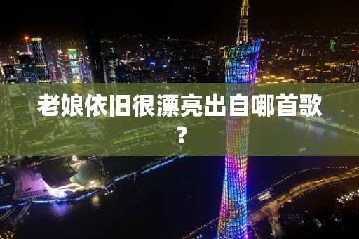 老娘依旧很漂亮出自哪首歌？