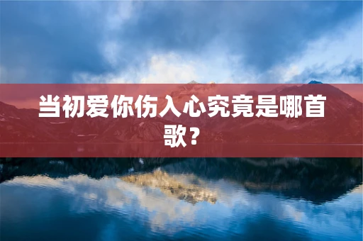 当初爱你伤入心究竟是哪首歌？