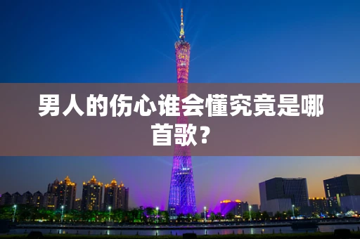 男人的伤心谁会懂究竟是哪首歌？