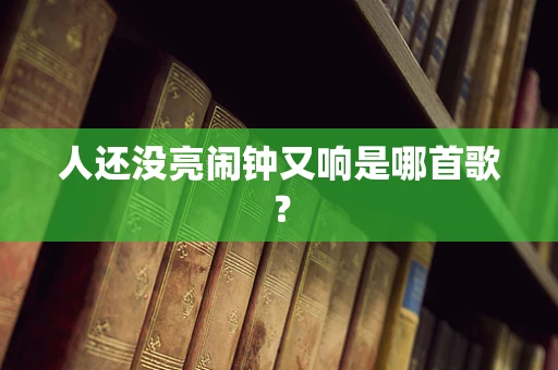 人还没亮闹钟又响是哪首歌？