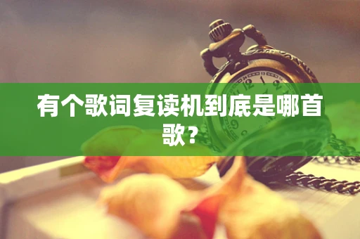 有个歌词复读机到底是哪首歌？