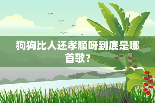 狗狗比人还孝顺呀到底是哪首歌？