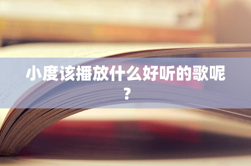 小度该播放什么好听的歌呢？
