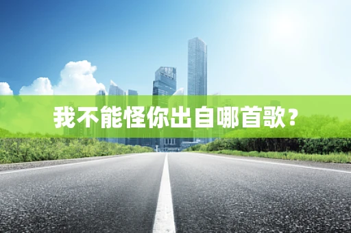 我不能怪你出自哪首歌？