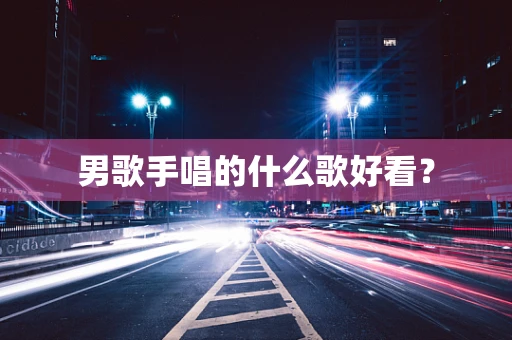 男歌手唱的什么歌好看？