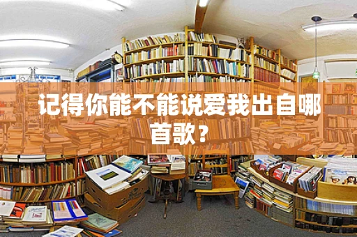 记得你能不能说爱我出自哪首歌？