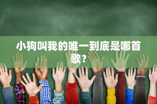 小狗叫我的唯一到底是哪首歌？