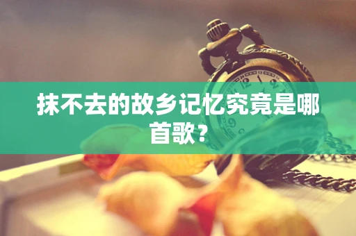 抹不去的故乡记忆究竟是哪首歌？
