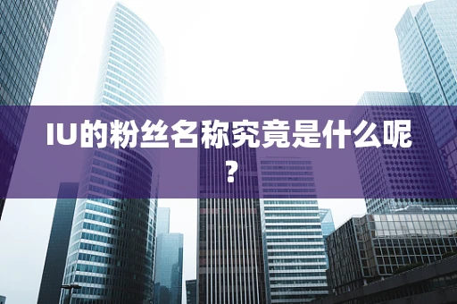 IU的粉丝名称究竟是什么呢？