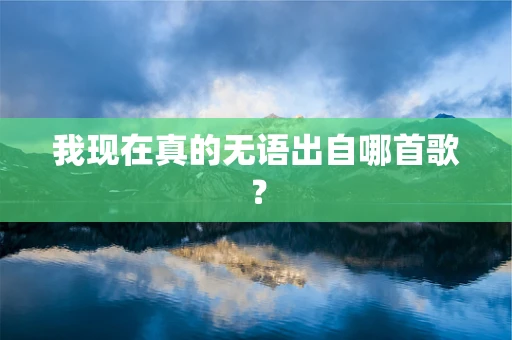 我现在真的无语出自哪首歌？