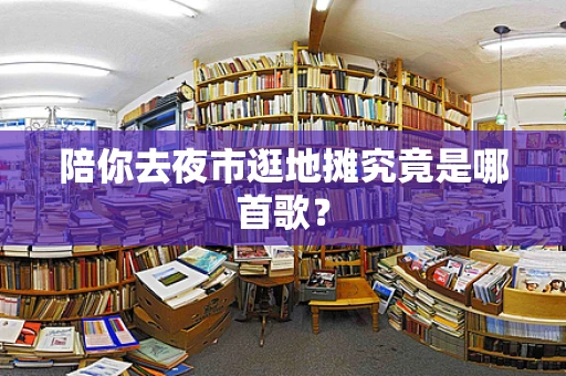 陪你去夜市逛地摊究竟是哪首歌？