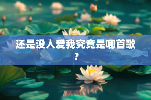 还是没人爱我究竟是哪首歌？