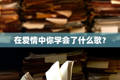 在爱情中你学会了什么歌？
