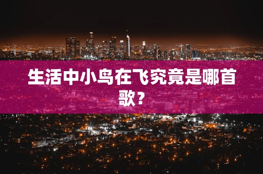 生活中小鸟在飞究竟是哪首歌？