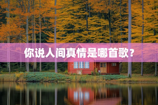 你说人间真情是哪首歌？