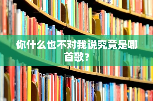 你什么也不对我说究竟是哪首歌？