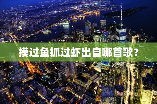 摸过鱼抓过虾出自哪首歌？