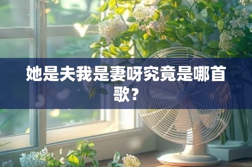 她是夫我是妻呀究竟是哪首歌？