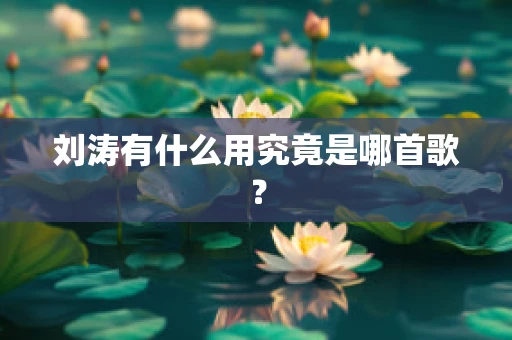 刘涛有什么用究竟是哪首歌？