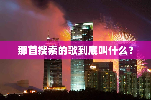 那首搜索的歌到底叫什么？