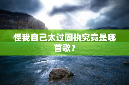 怪我自己太过固执究竟是哪首歌？