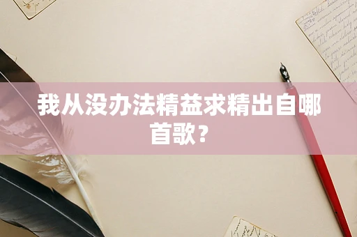 我从没办法精益求精出自哪首歌？