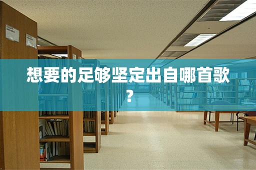 想要的足够坚定出自哪首歌？