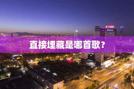 直接埋藏是哪首歌？