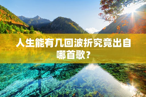 人生能有几回波折究竟出自哪首歌？