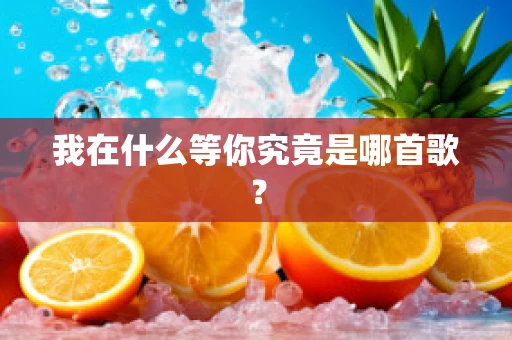 我在什么等你究竟是哪首歌？