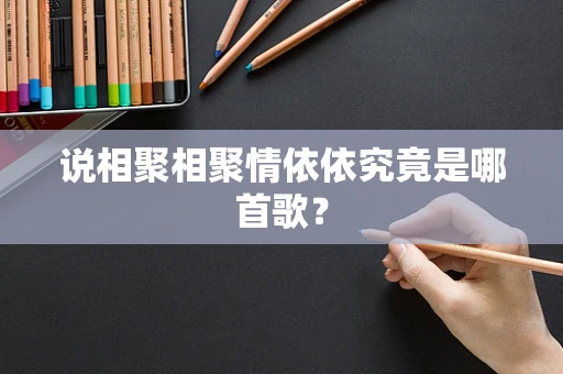 说相聚相聚情依依究竟是哪首歌？