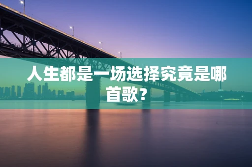 人生都是一场选择究竟是哪首歌？