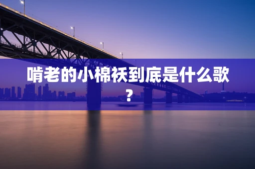 啃老的小棉袄到底是什么歌？
