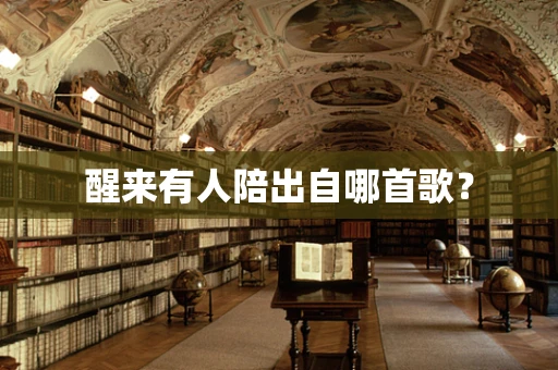 醒来有人陪出自哪首歌？