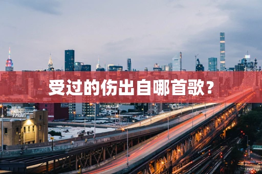 受过的伤出自哪首歌？