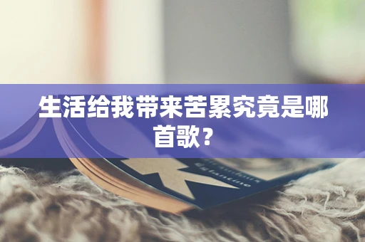 生活给我带来苦累究竟是哪首歌？