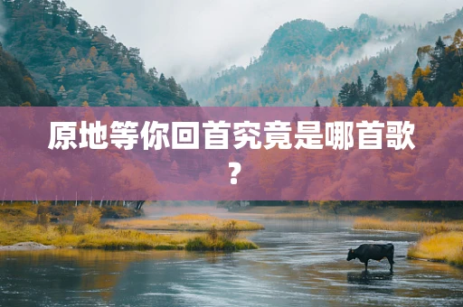 原地等你回首究竟是哪首歌？
