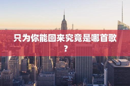 只为你能回来究竟是哪首歌？