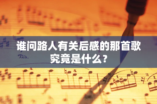 谁问路人有关后感的那首歌究竟是什么？