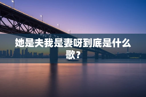 她是夫我是妻呀到底是什么歌？