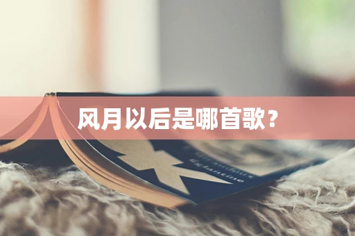 风月以后是哪首歌？